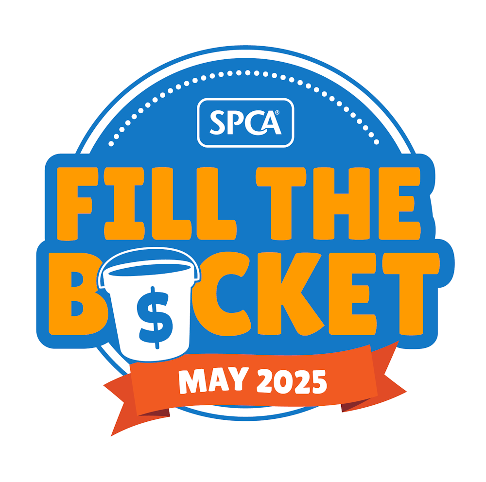 2025 Street Appeal Logo