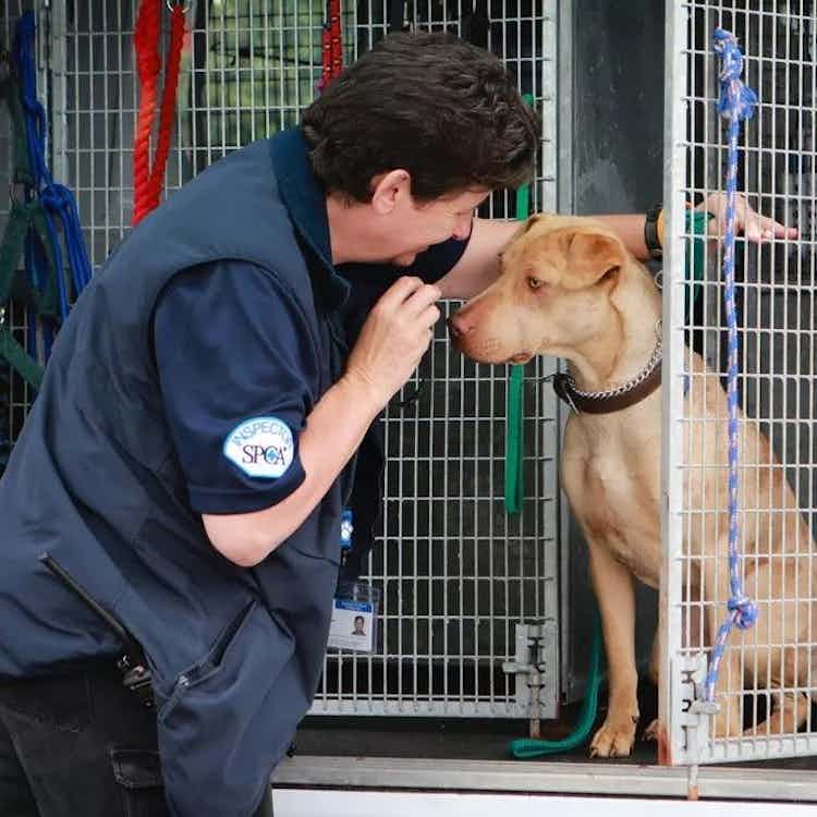A SPCA Inspector with a dog