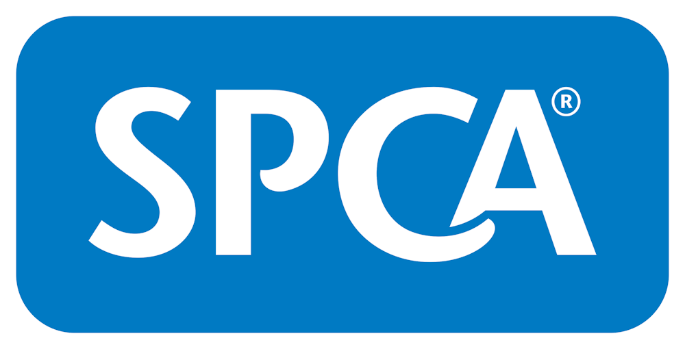 2025 Summer Appeal Logo