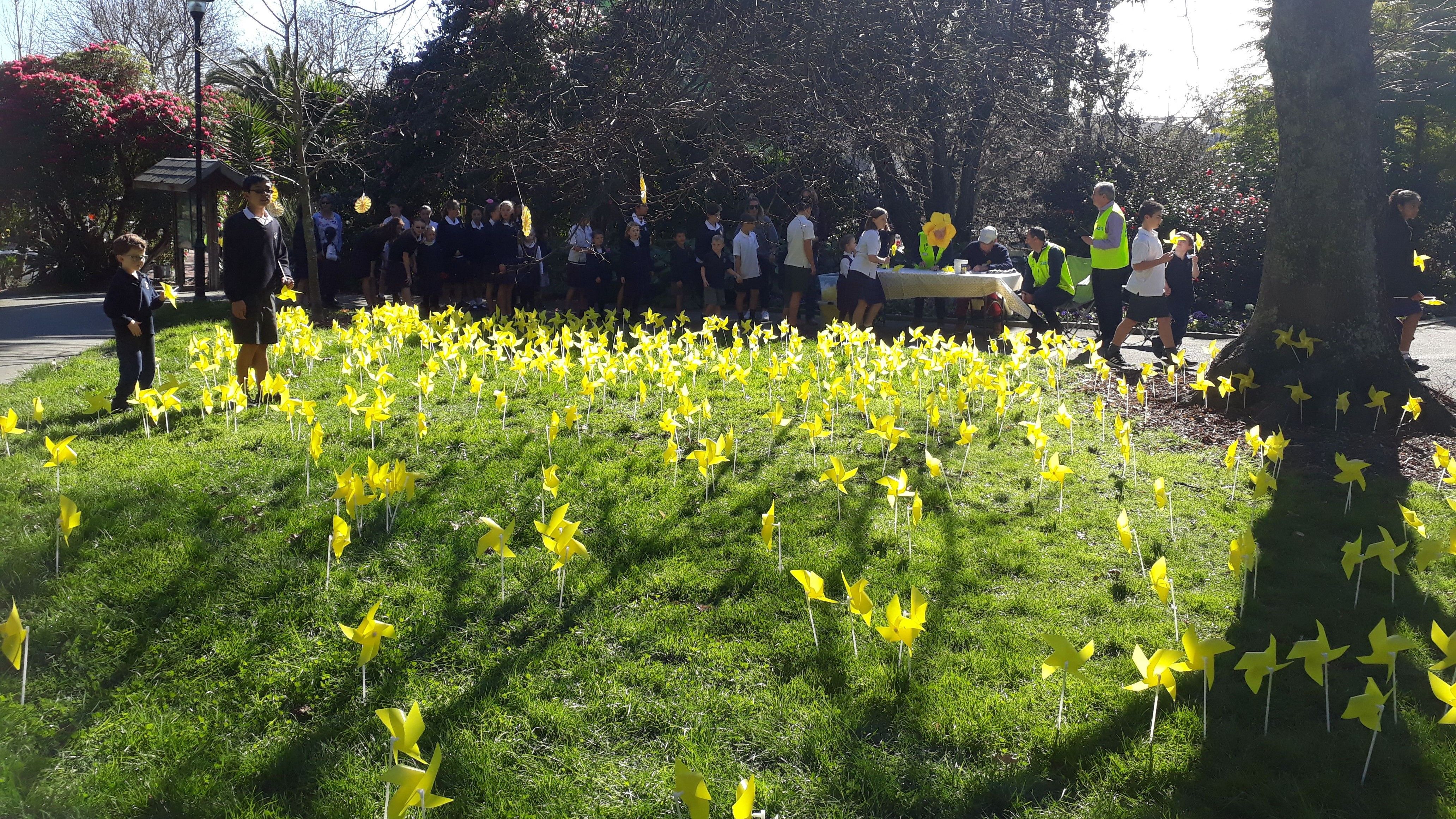 Daffodil Day 2022