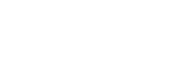 Waves of Wellness Foundation