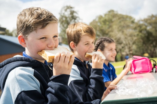 provides one month of school lunches for a child