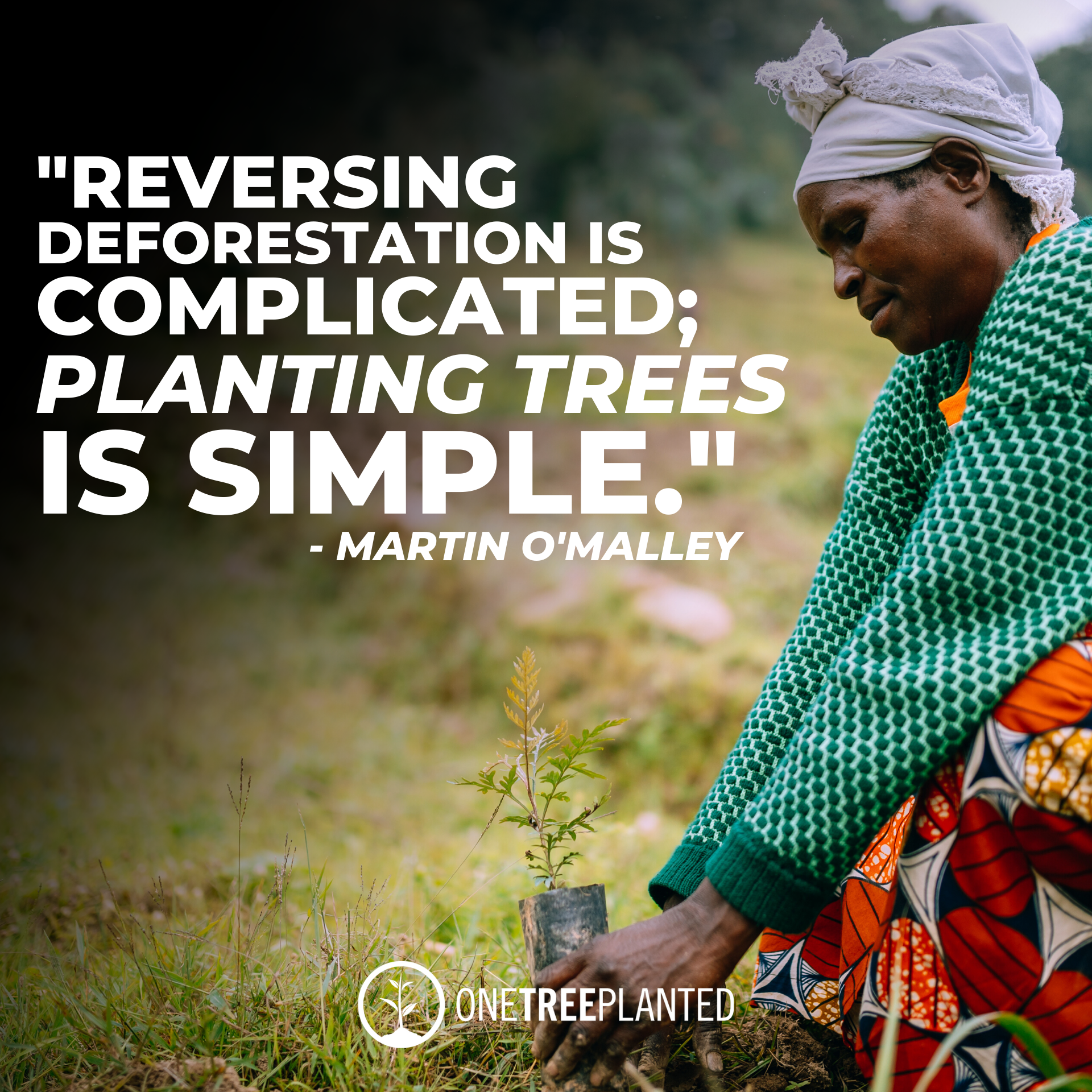 Reversing deforestation is complicated; planting trees is simple.  quote by Martin O'Malley