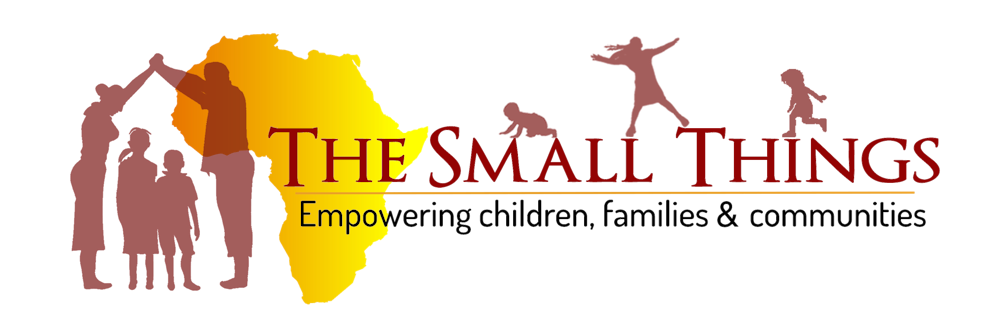 Fundraise for the Small Things Logo