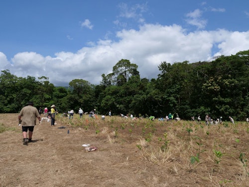 Will and equip Indigenous Rangers to rewild degraded land