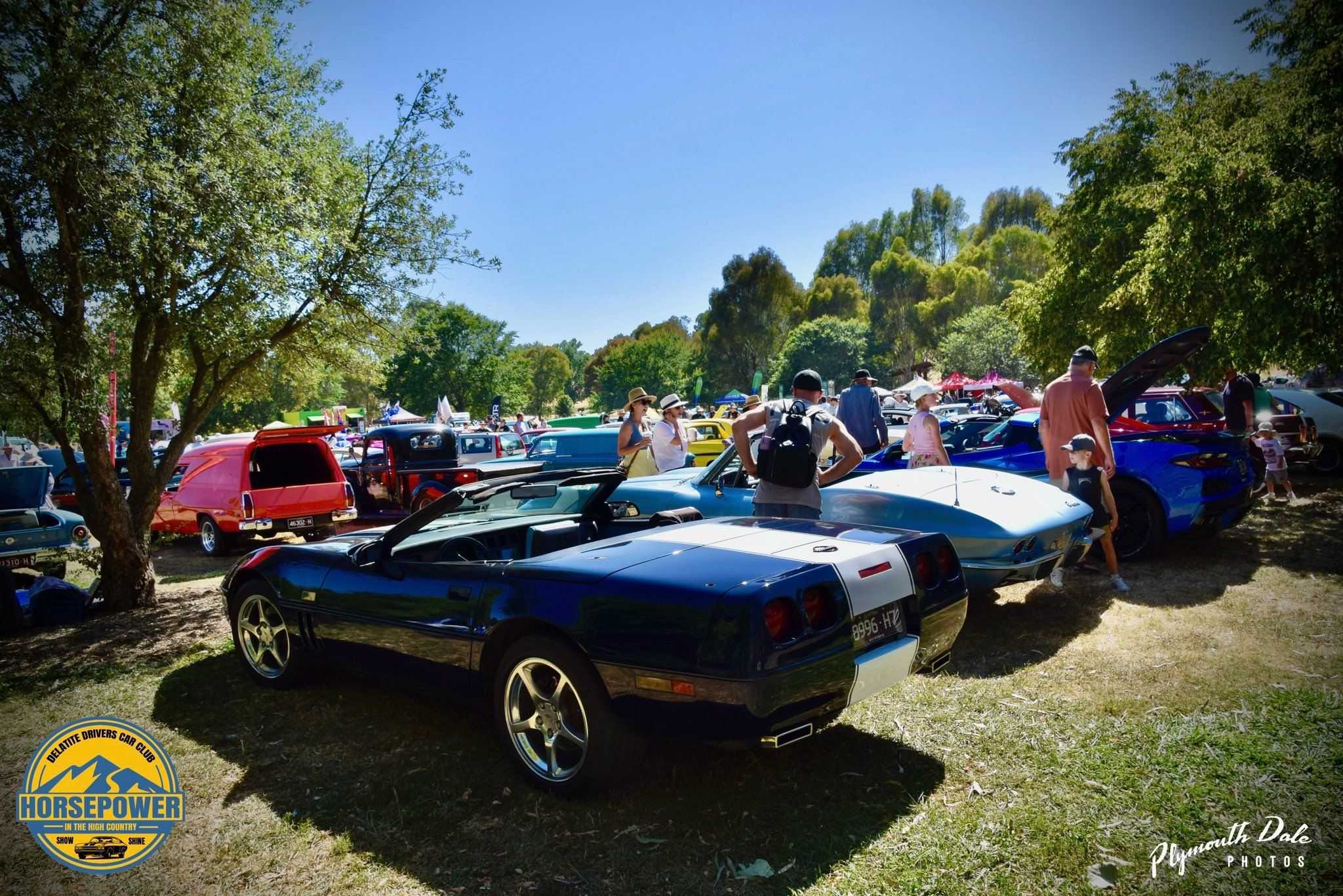 Horsepower in the High Country