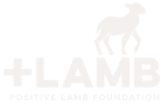 Positive Lamb Foundation