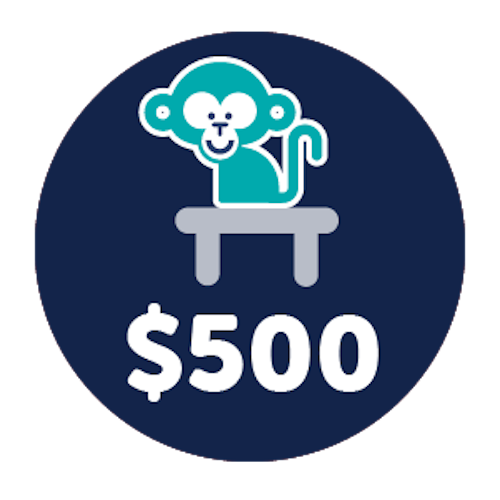 connects young blood cancer patients to their classmates through Monkey in my Chair