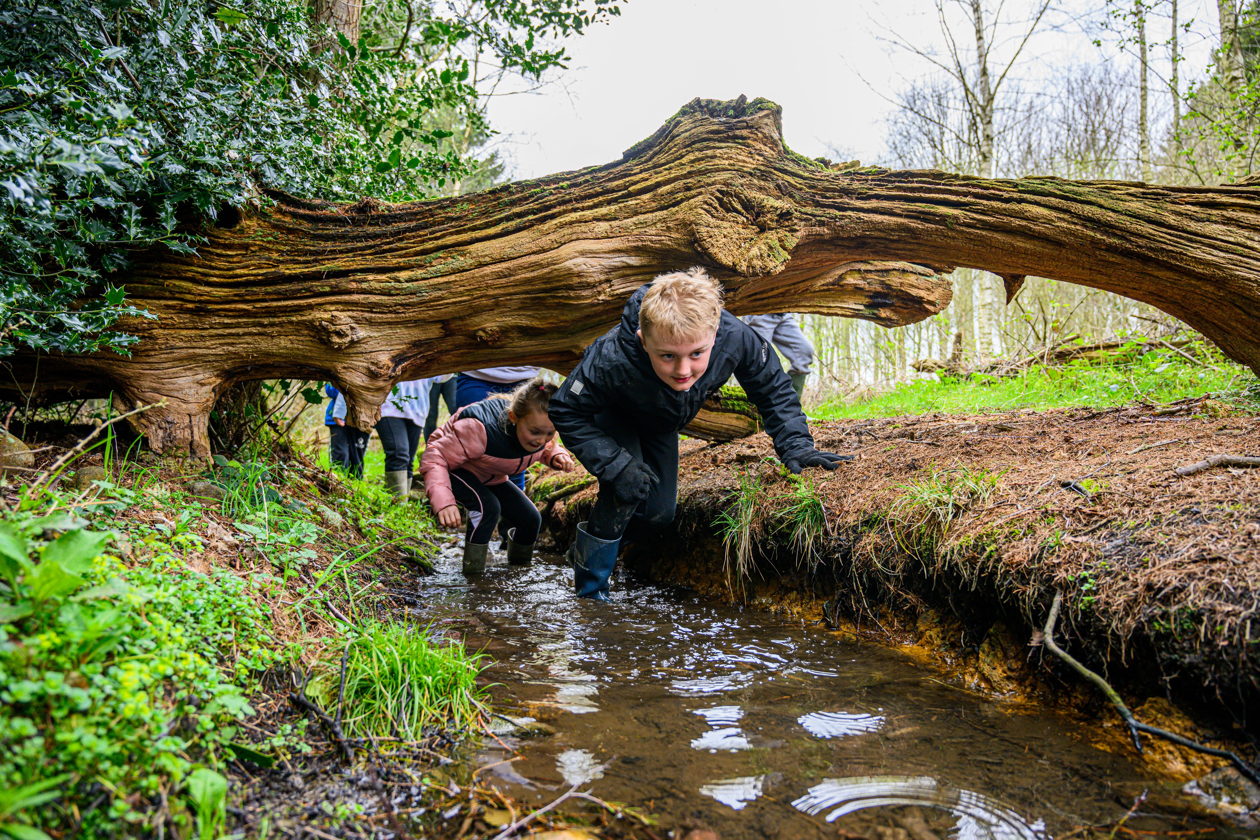 Leeds Children's Charity at Lineham Farm | Donate Online