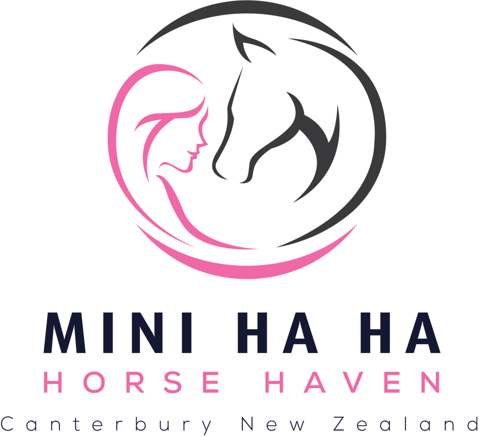 Mini Haha Donate Now Logo