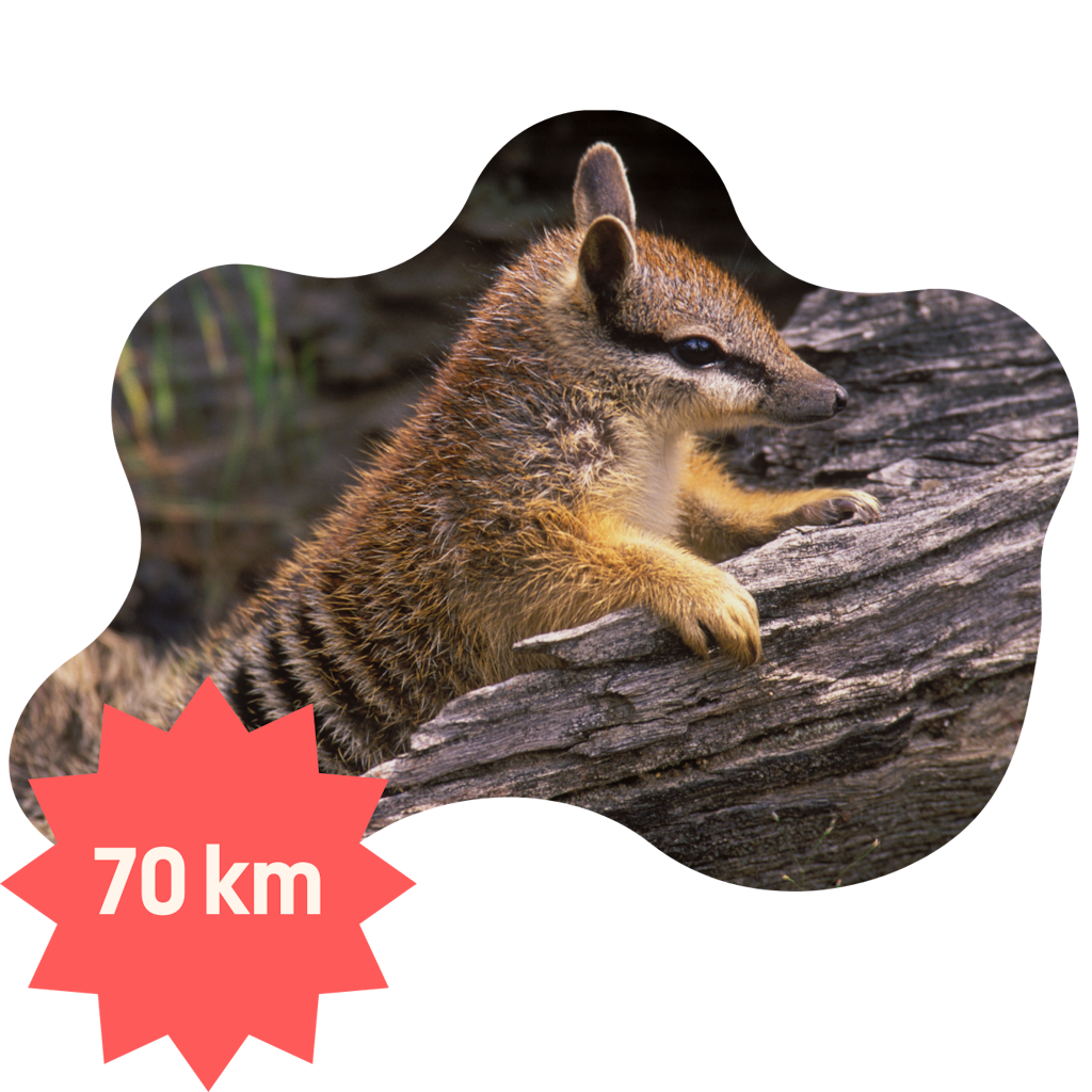 Nature Walk Challenge 2024 Home