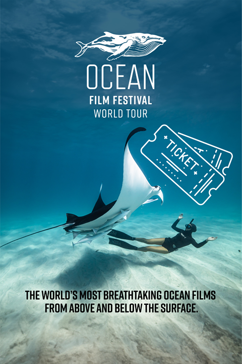 Upcoming Events   Ocean Ff Tickets Png Da956f.PNG