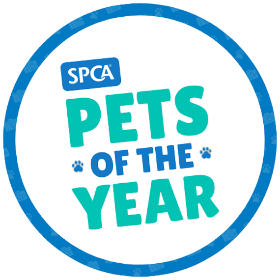 SPCA Pets of the Year