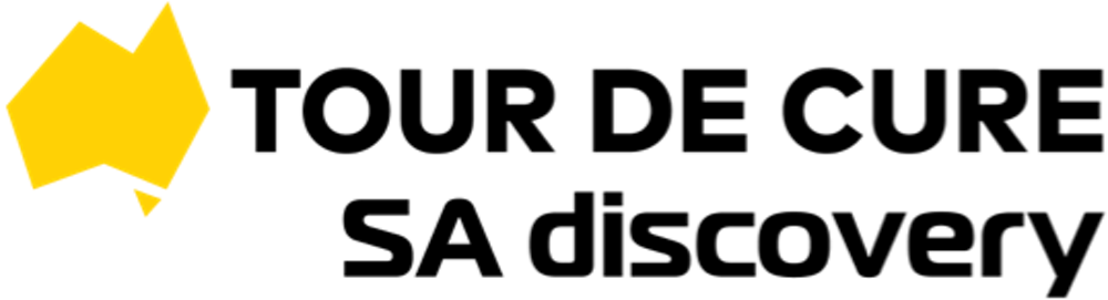 SA Disco Tour 2025 Logo