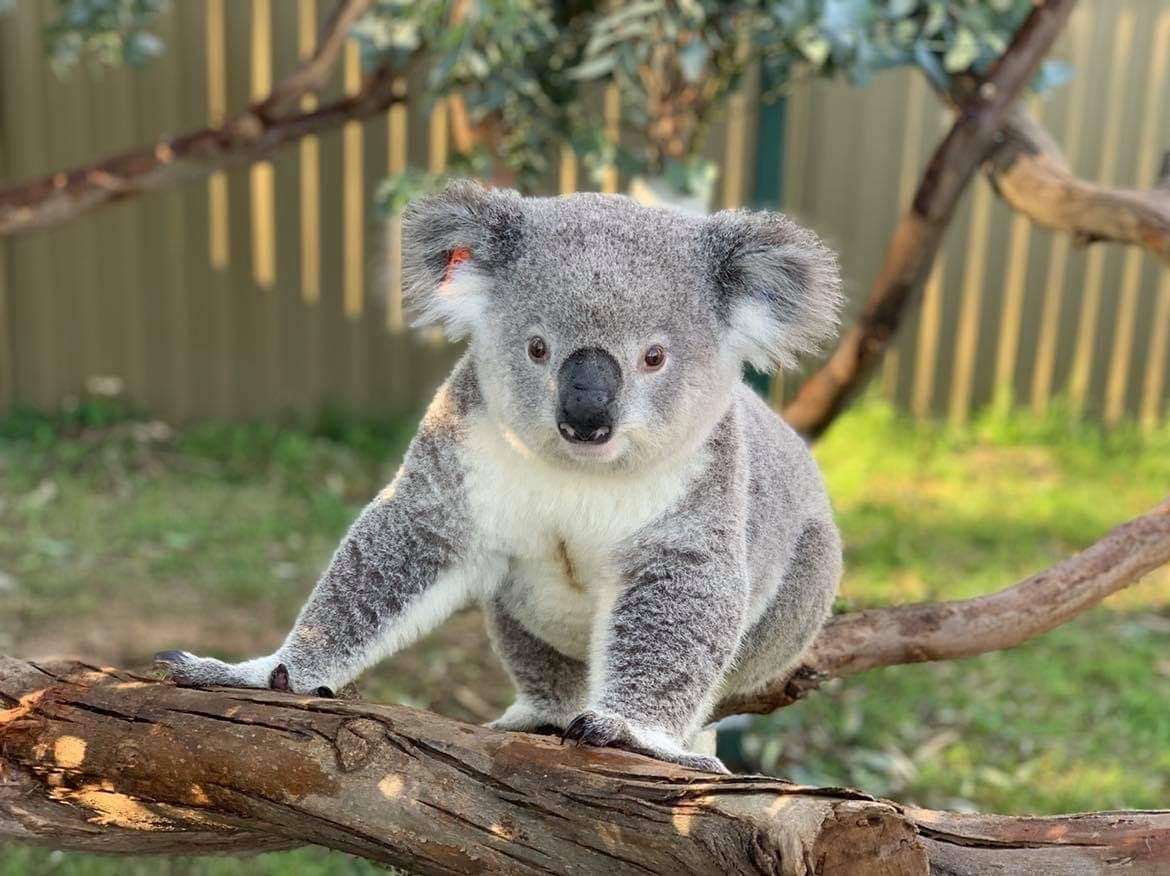 Science for Wildlife