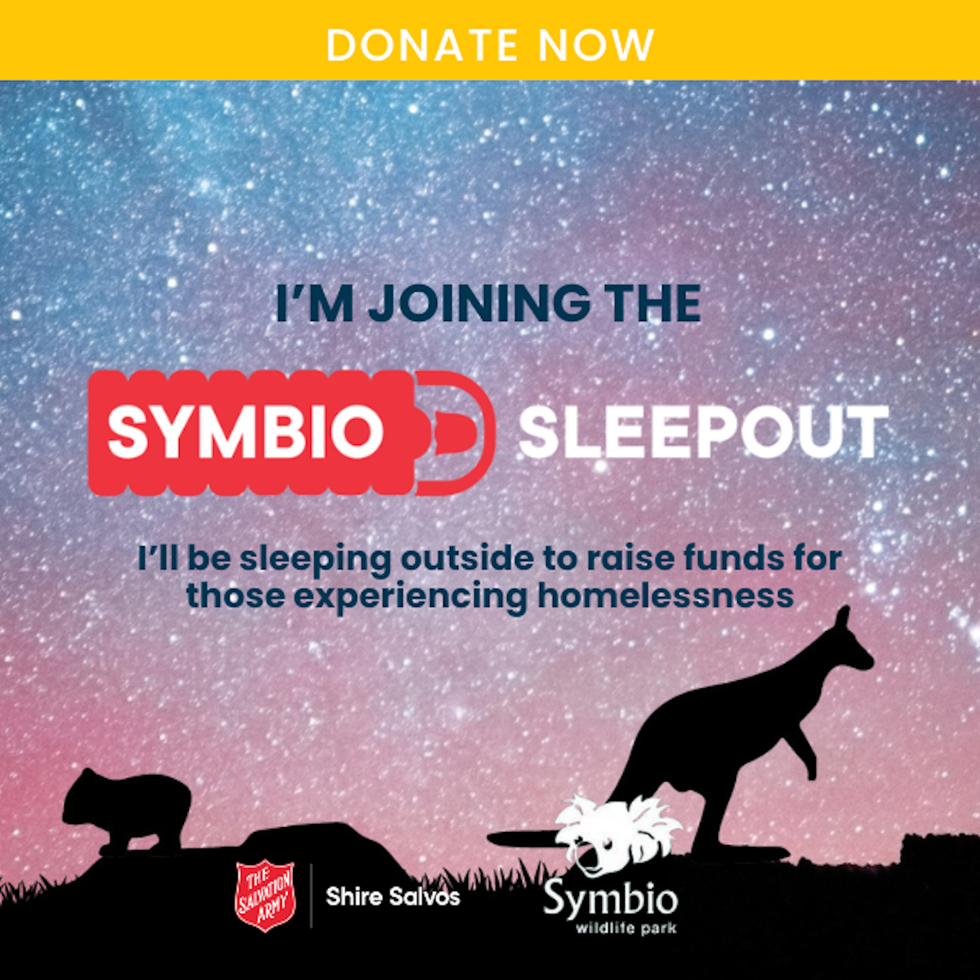Donate Now 2