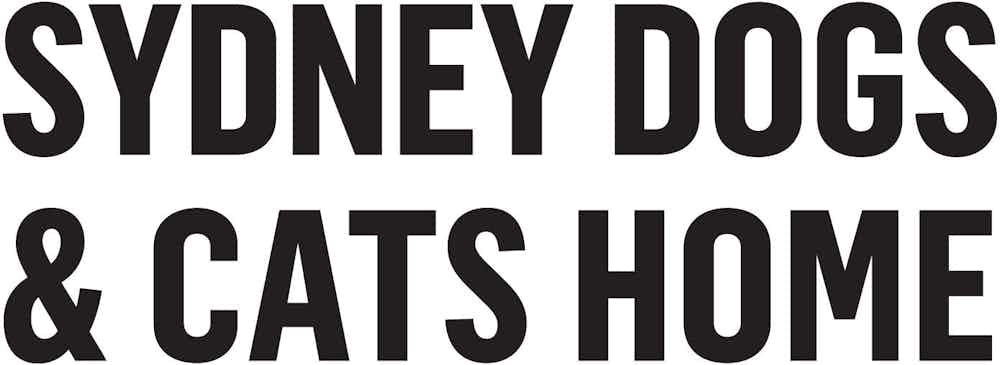 Team SDCH Logo