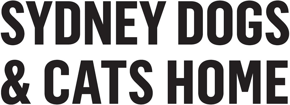 Team SDCH Logo