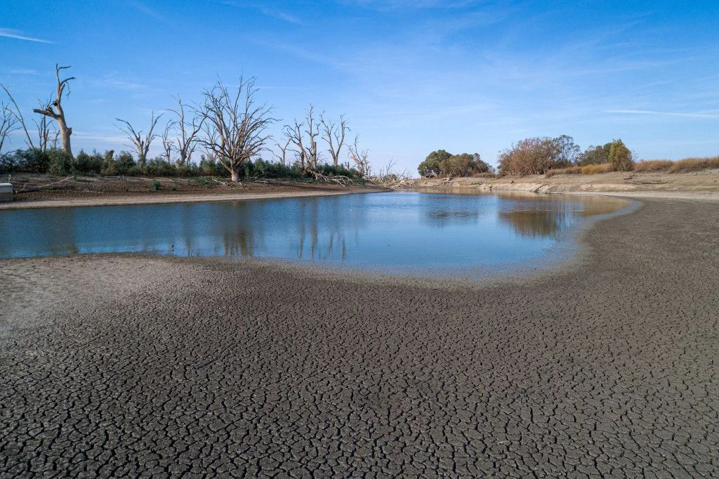 Revive Our Rivers