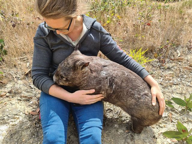 Wombat Awareness - Website